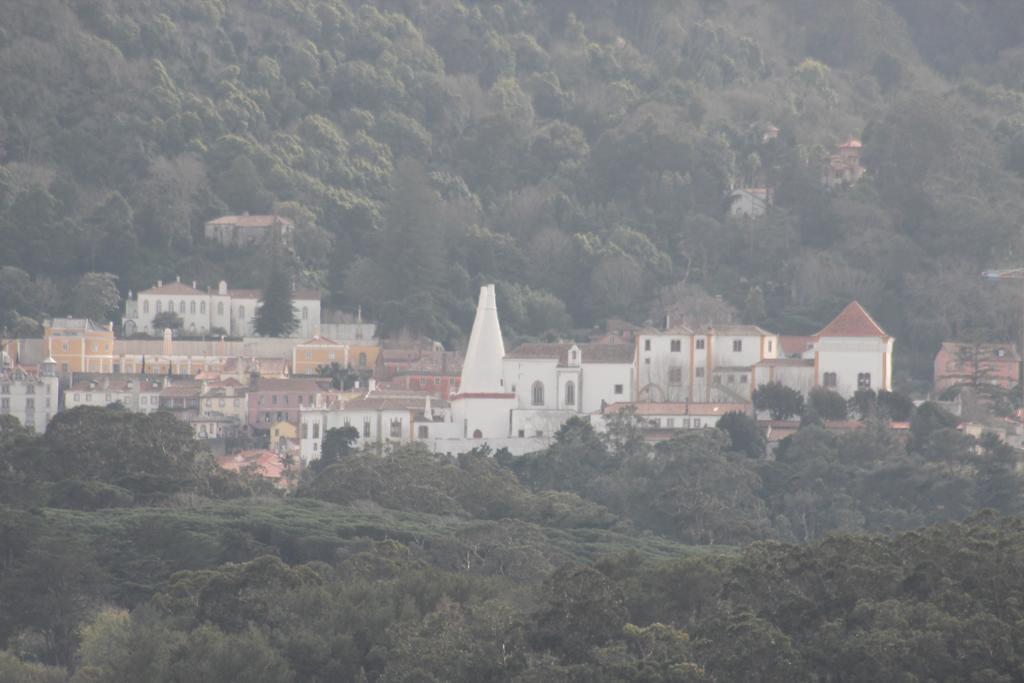 Cozy Green Apartment Sintra Esterno foto